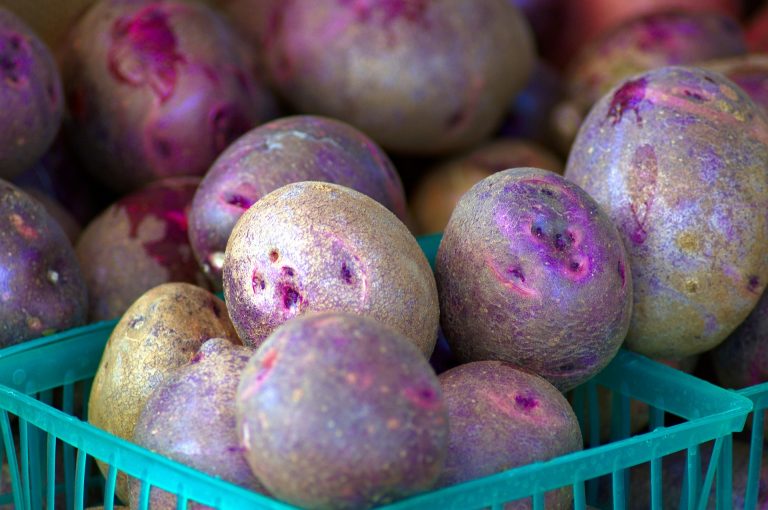 Purè di patate e carote viola