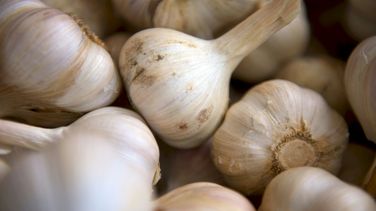 Come conservare l'aglio fresco per tutto l'anno?