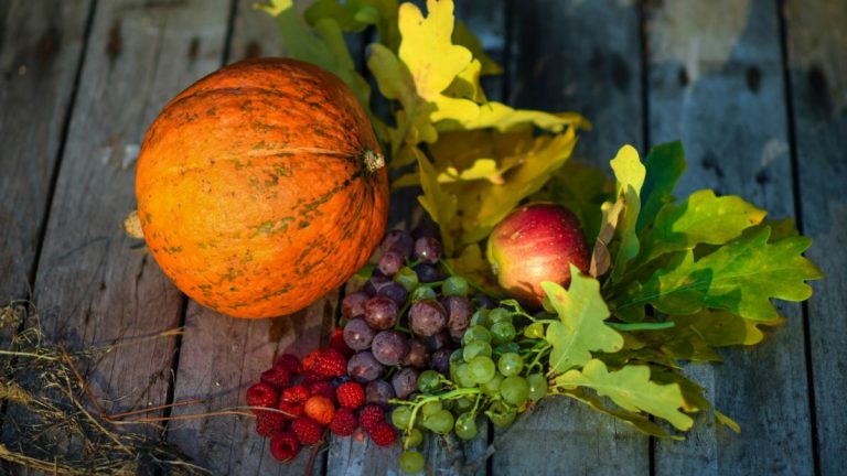 Verdure e frutti di stagione d'autunno? L'elenco