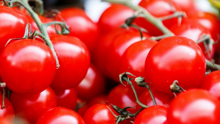 Come fare pomodori pelati? Ricetta e consigli