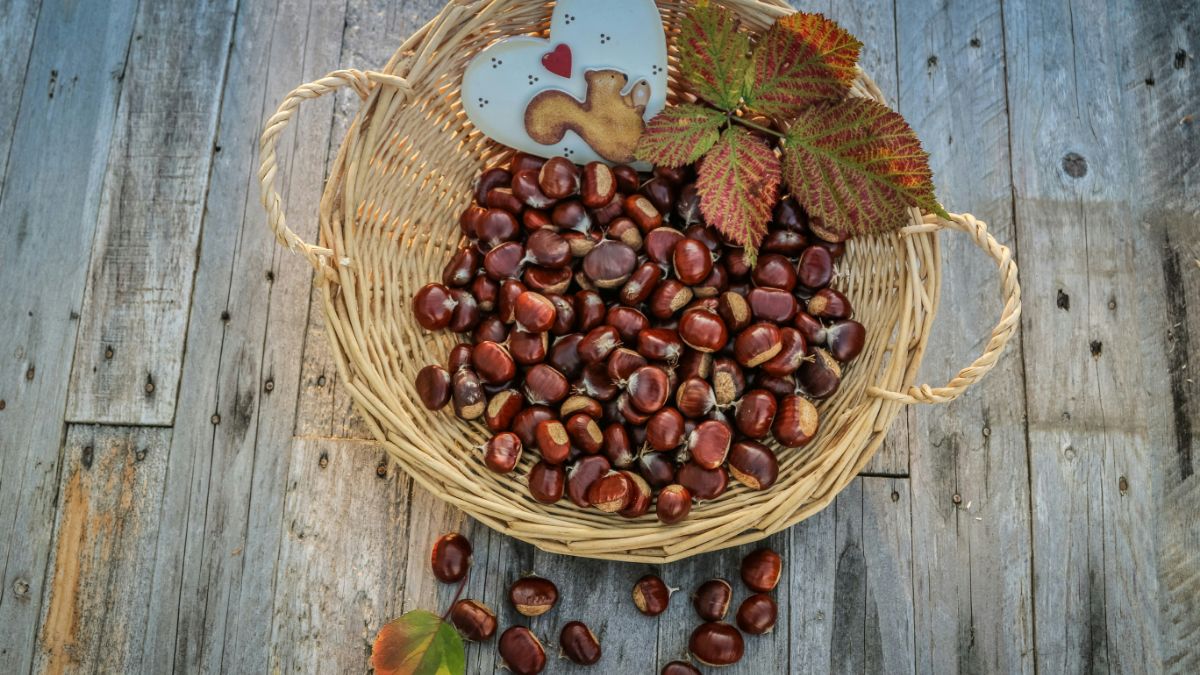 Castagne con pancetta, l'antipasto ideale!