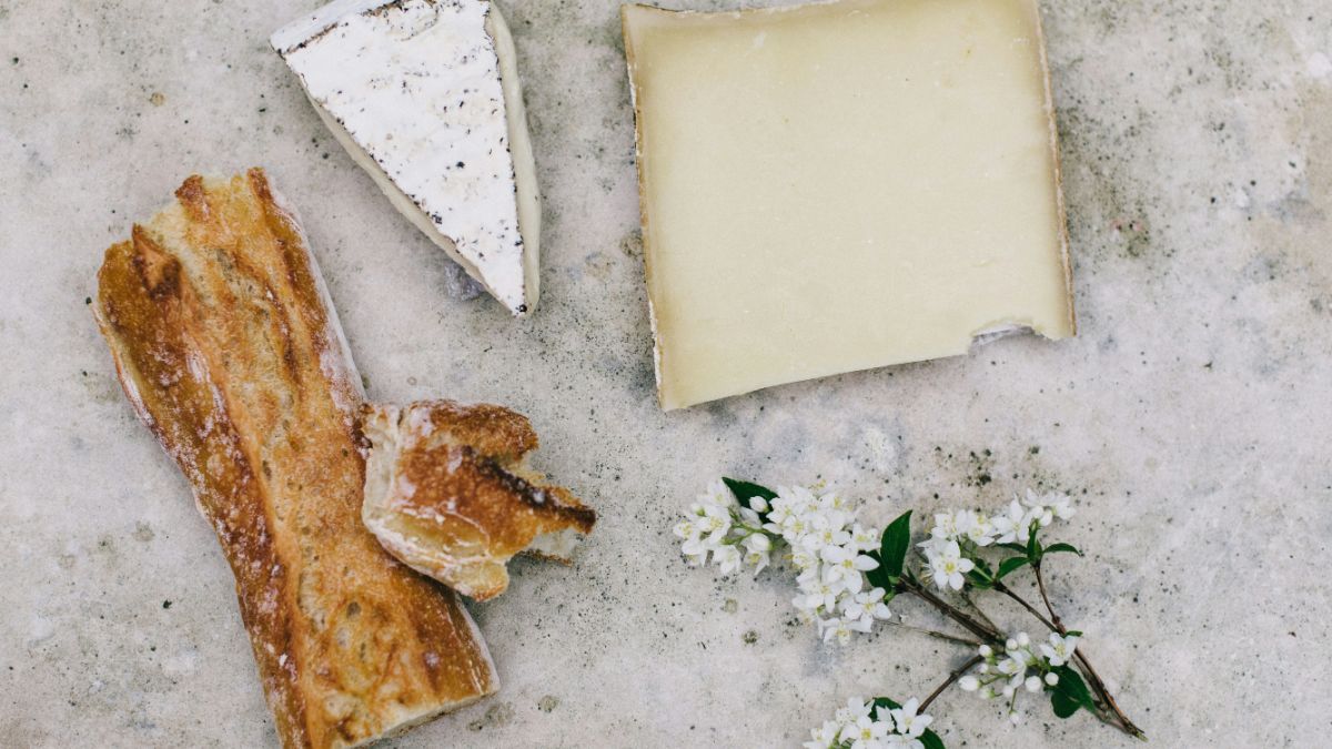 Formaggio coi vermi, ecco il Casu Marzu