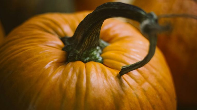 Come scegliere la zucca?