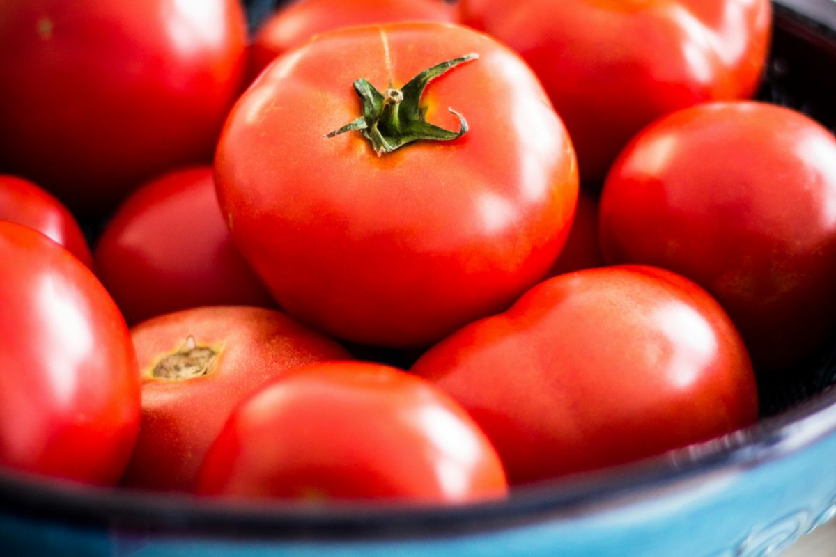 San Marzaro, il pomodoro migliore